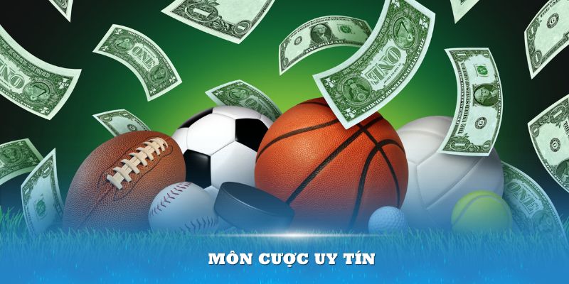 Top 4 môn cược uy tín với phần thưởng hấp dẫn